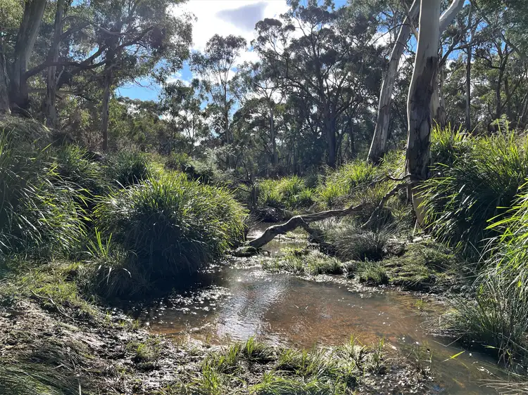 Lot 101 Collector Road, Gunning NSW 2581
