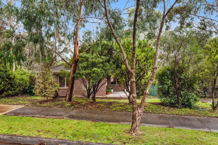 Main view of Homely house listing, 29 Williams Road, Mooroolbark VIC 3138
