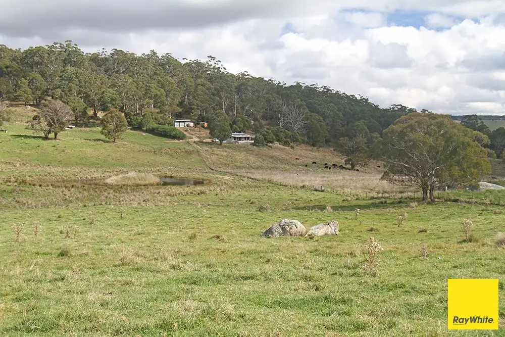 Main view of Homely house listing, 540 Slap Up Road, Jerangle NSW 2630