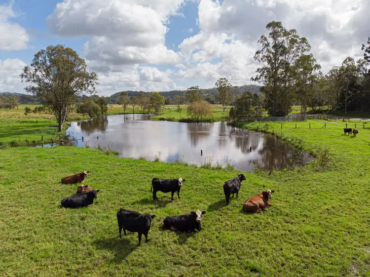 1930 Bentley Road, Bentley NSW 2480