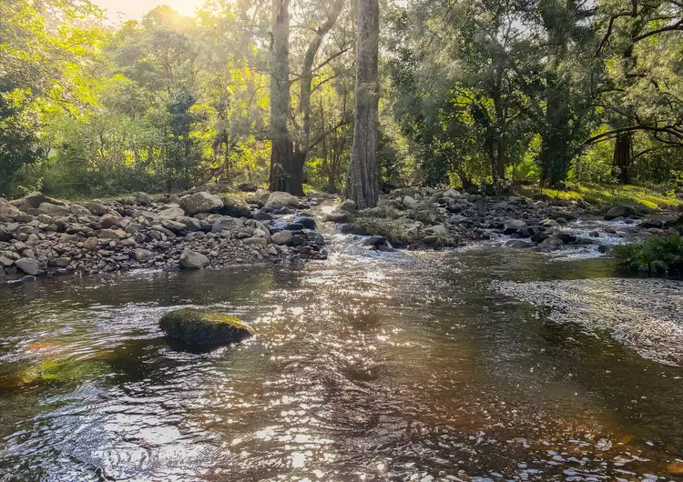 Main view of Homely rural property listing, 212 Free Selectors Road, Foxground NSW 2534