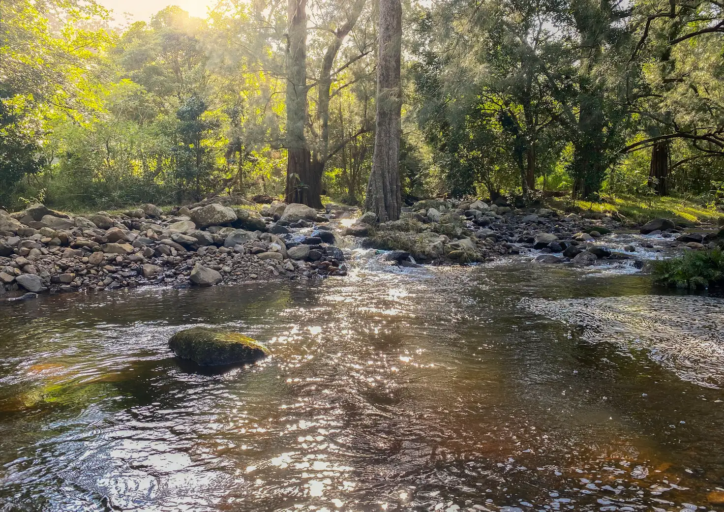Main view of Homely rural property listing, 212 Free Selectors Road, Foxground NSW 2534