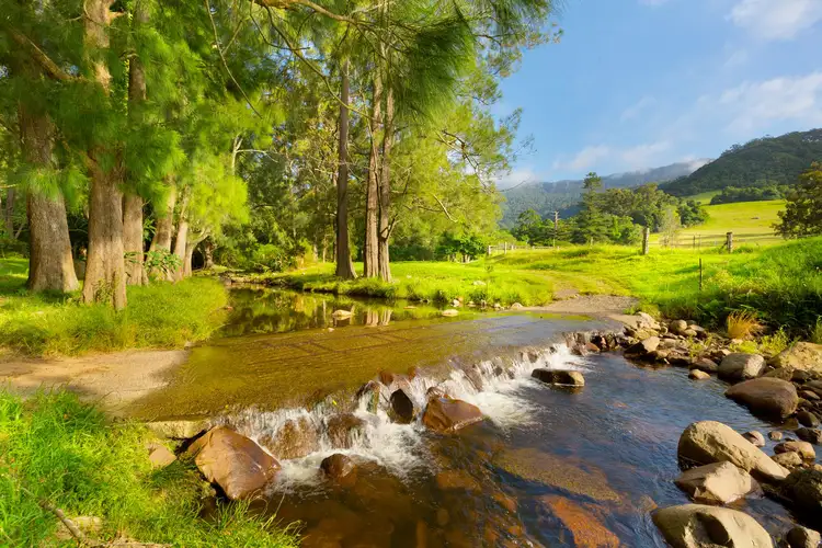 Second view of Homely rural property listing, 212 Free Selectors Road, Foxground NSW 2534