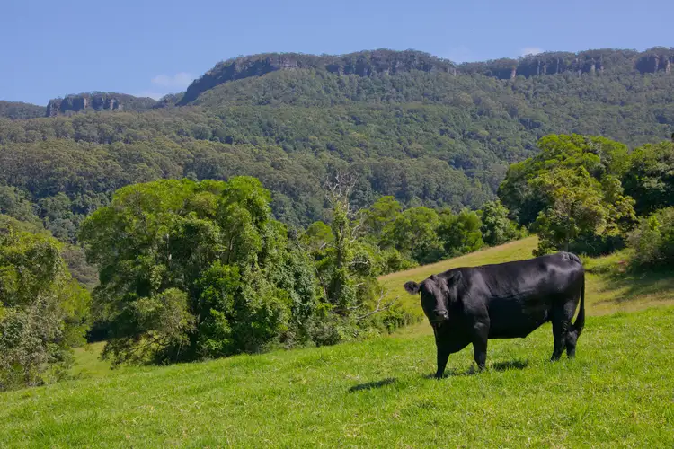 Fifth view of Homely rural property listing, 212 Free Selectors Road, Foxground NSW 2534