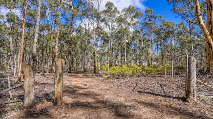Sixth view of Homely rural property listing, Lot 1 Buffalo Swamp Road, Whroo VIC 3612