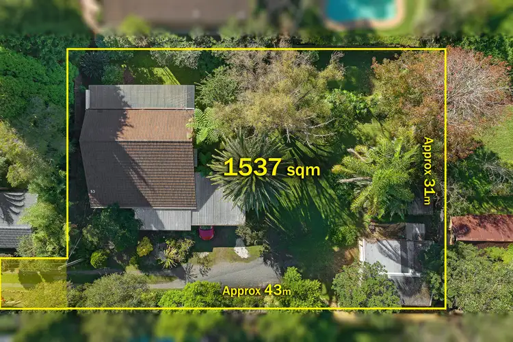 Main view of Homely house listing, 19 Miowera Road, Turramurra NSW 2074