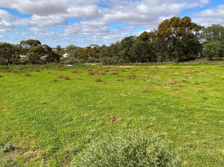 Sixth view of Homely land listing, 23 Lawler Street, Ouyen VIC 3490