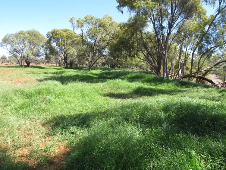 Fifth view of Homely rural property listing, Edmund Station, Gascoyne Junction WA 6705
