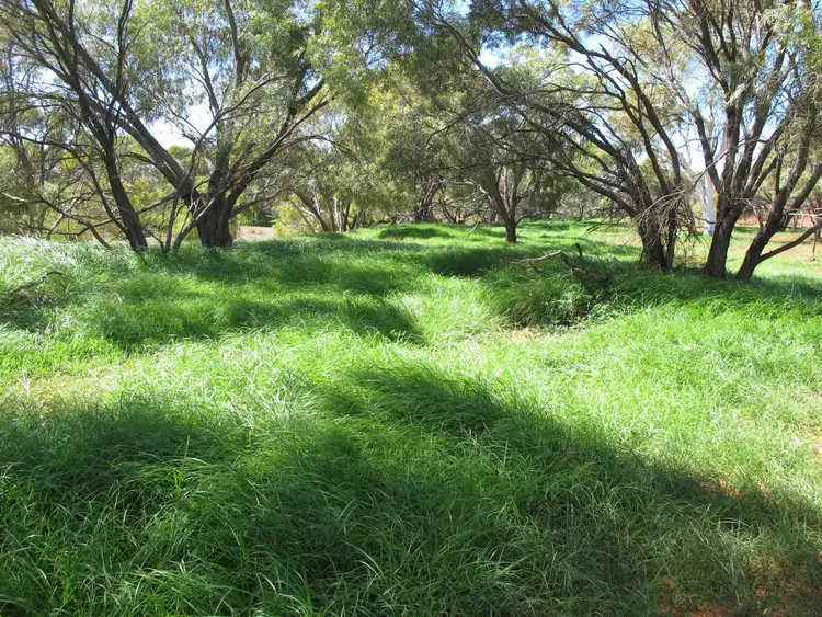 Sixth view of Homely rural property listing, Edmund Station, Gascoyne Junction WA 6705