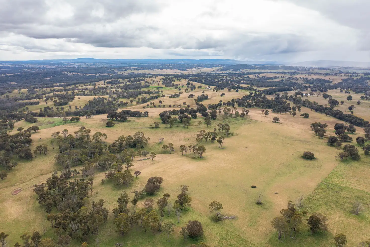 Main view of Homely rural property listing, 372 Metz Road, Armidale NSW 2350