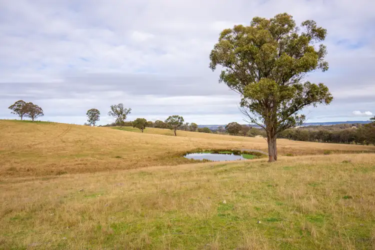 Second view of Homely rural property listing, 372 Metz Road, Armidale NSW 2350
