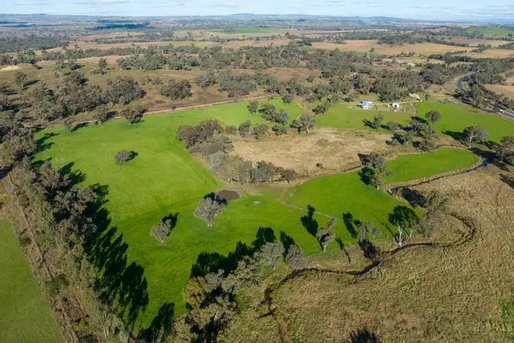 Second view of Homely rural property listing, 6586 Mitchell Highway, Molong NSW 2866