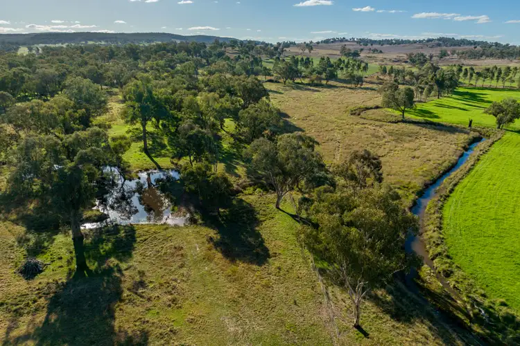 Third view of Homely rural property listing, 6586 Mitchell Highway, Molong NSW 2866