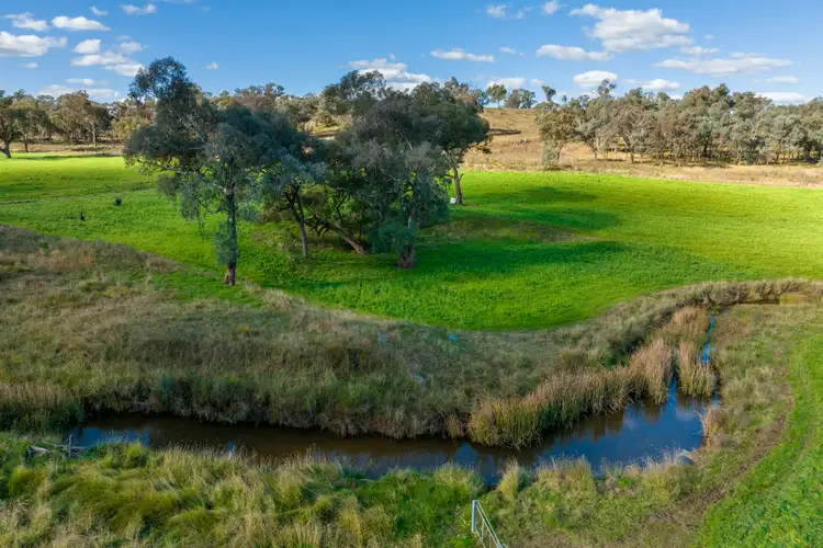 Sixth view of Homely rural property listing, 6586 Mitchell Highway, Molong NSW 2866