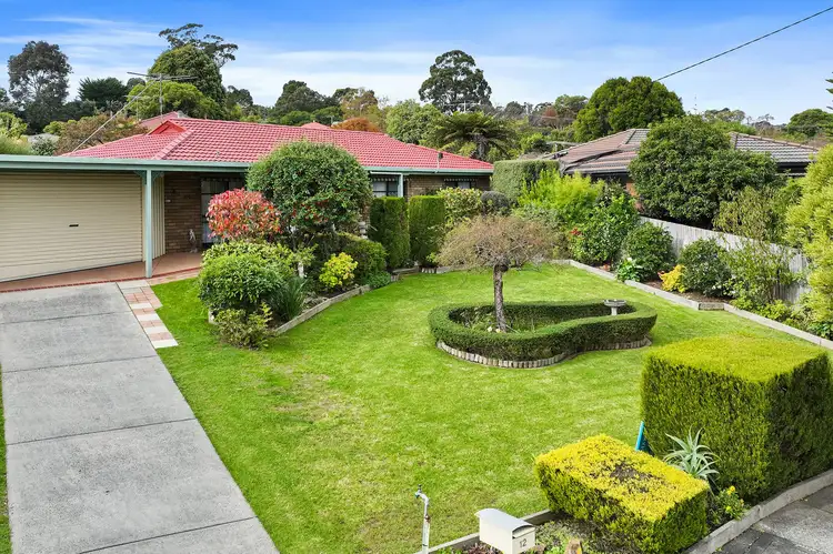 Main view of Homely house listing, 12 Acacia Street, Drouin VIC 3818