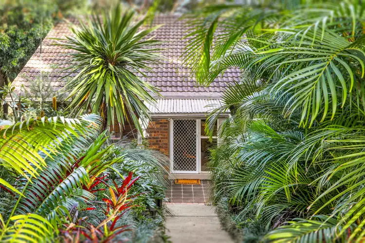 19 Shaw Street, Saratoga NSW 2251