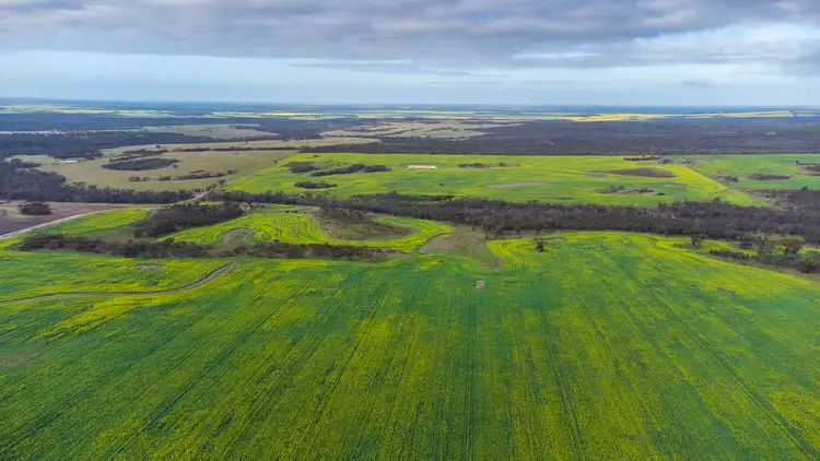 Fourth view of Homely rural property listing, 2655 Boxwood Hill-Ongerup Road, Monjebup WA 6338