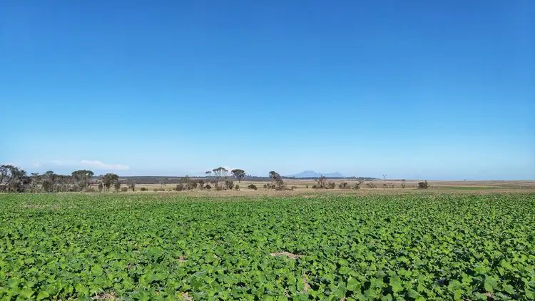Fifth view of Homely rural property listing, 2655 Boxwood Hill-Ongerup Road, Monjebup WA 6338