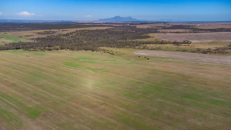 Sixth view of Homely rural property listing, 2655 Boxwood Hill-Ongerup Road, Monjebup WA 6338
