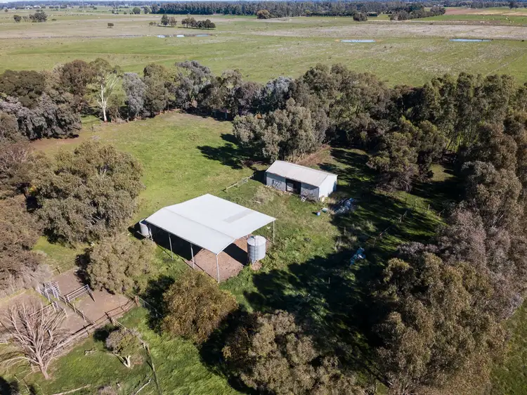 Fourth view of Homely rural property listing, 205 Starritt Road, Tatura VIC 3616