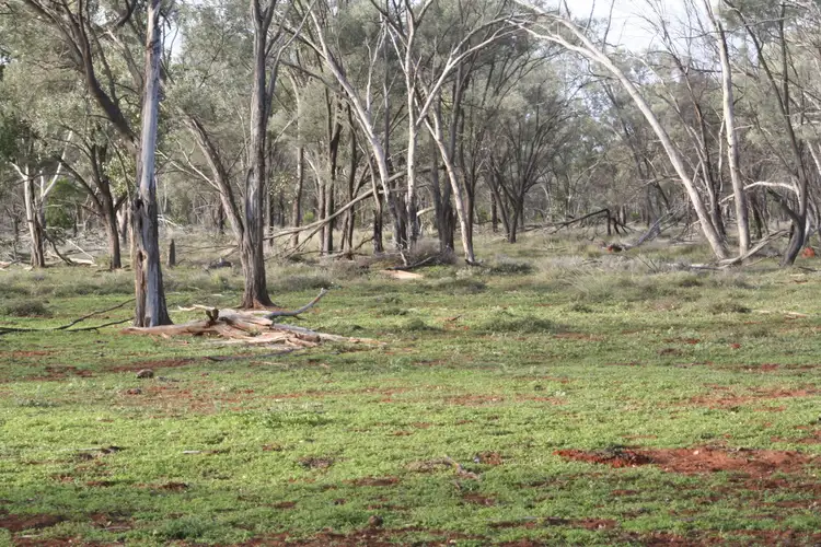 1153 Middle Creek Road, Langlo QLD 4470