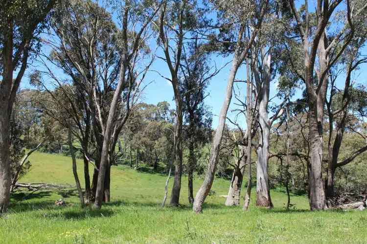 Seventh view of Homely rural property listing, 153 Sewells Creek Road, Oberon NSW 2787