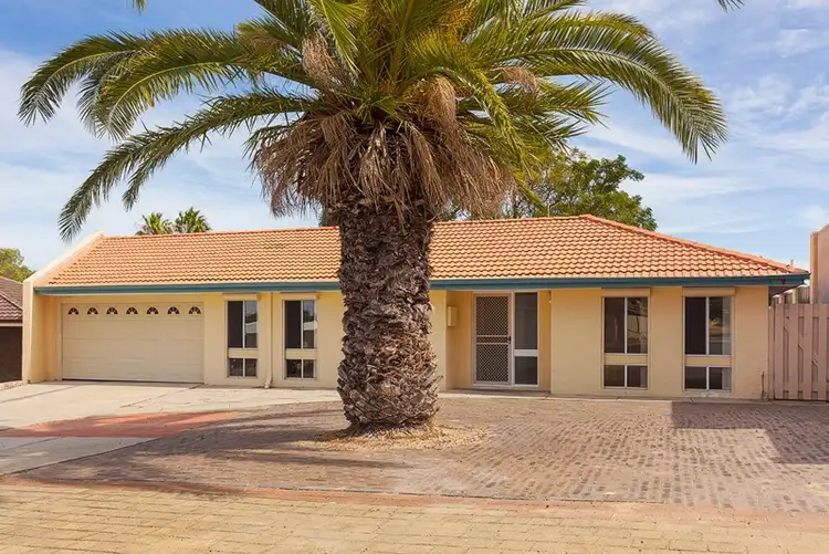 Sixth view of Homely house listing, 8 Fathom Court, Heathridge WA 6027