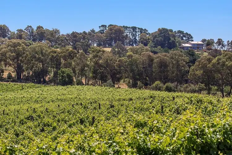 Fourth view of Homely rural property listing, 40 Howards Road, Panton Hill VIC 3759
