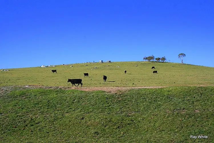 Fourth view of Homely rural property listing, 138 Deloraine Lane, Braidwood NSW 2622