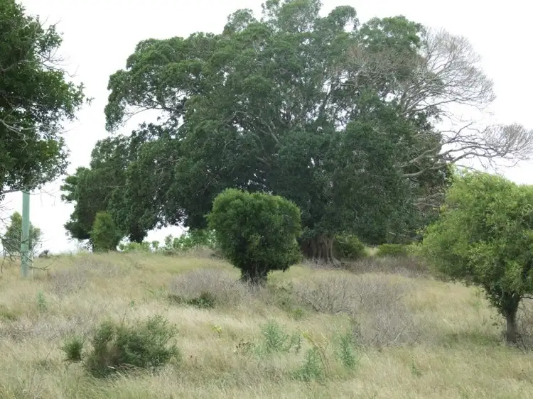 Third view of Homely rural property listing, L212 Dukes Road, Cooyar QLD 4402