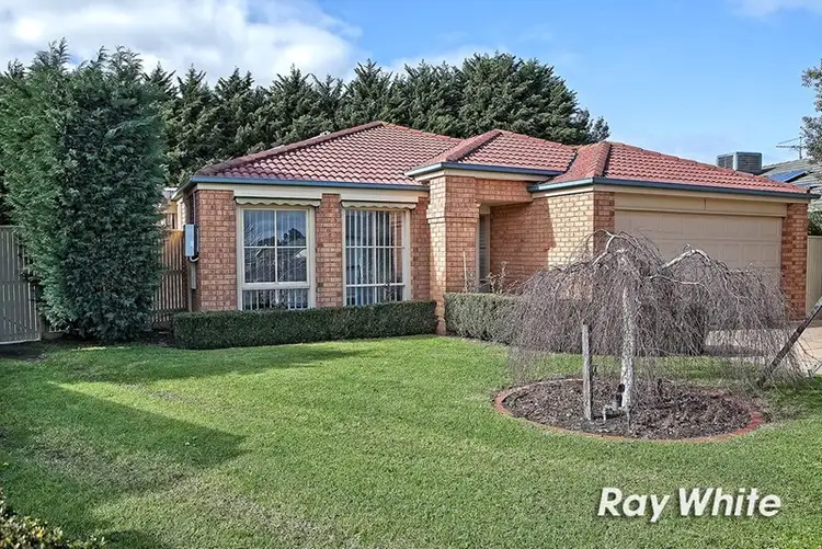 14 Callum Avenue, Somerville VIC 3912