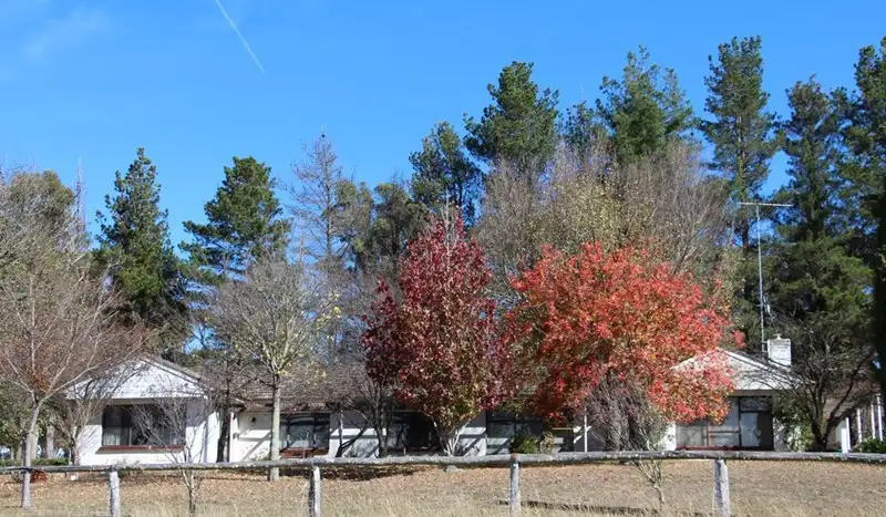 Main view of Homely rural property listing, Trequean 1490 Grafton Road, Armidale NSW 2350