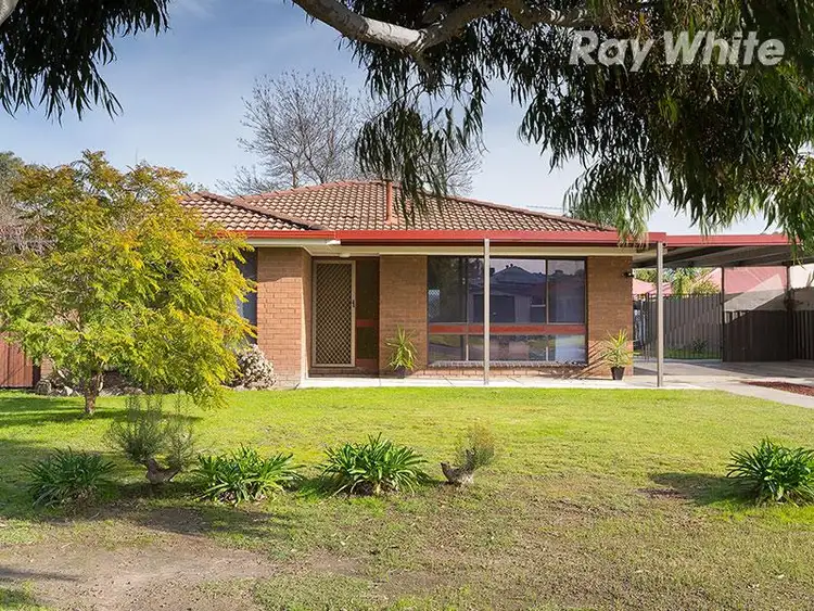 23 Jackling Drive, Lavington NSW 2641