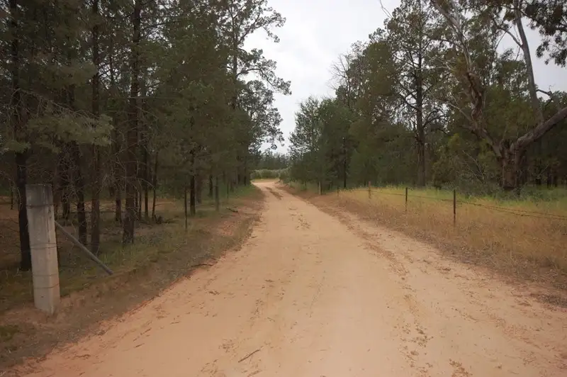 Main view of Homely rural property listing, Farm 1777 Narrandera Road, Cudgel NSW 2700