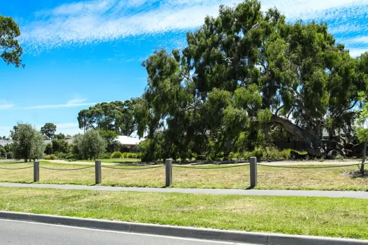 Fourth view of Homely house listing, 41 Friesian Street, Mernda VIC 3754