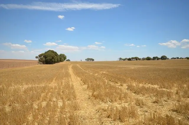 Seventh view of Homely rural property listing, "Bills" Farrell Flat Road, Farrell Flat SA 5416