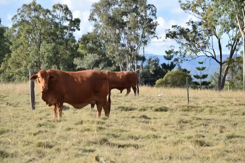 Main view of Homely rural property listing, Lot 1 Brisbane Valley Highway, Wanora QLD 4306