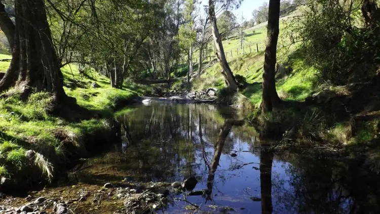 Sixth view of Homely rural property listing, 2357 Stewarts Brook Road, Scone NSW 2337