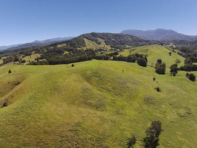 Main view of Homely rural property listing, 491 Nobbys Creek Road, Nobbys Creek NSW 2484