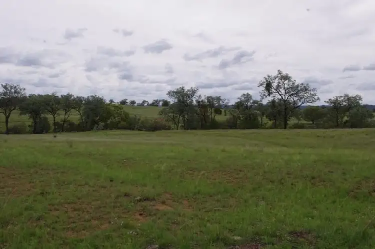 Fifth view of Homely rural property listing, 2000 'Bronco' Elcombe Road, Bingara NSW 2404