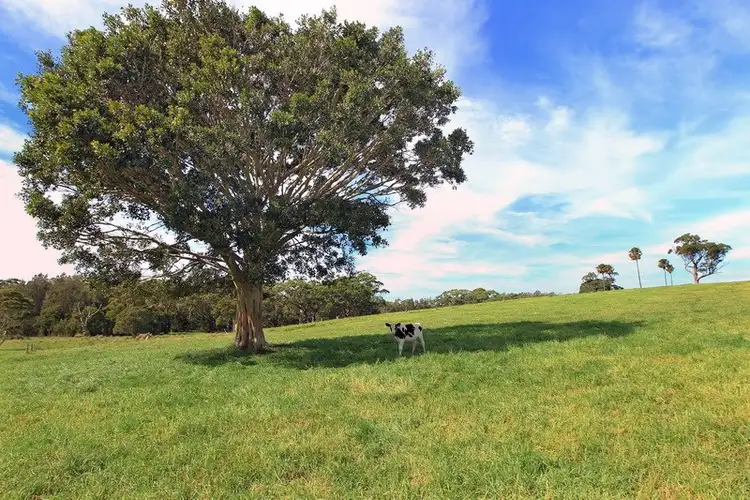 Sixth view of Homely rural property listing, 111 Sharpes Lane, Gerringong NSW 2534