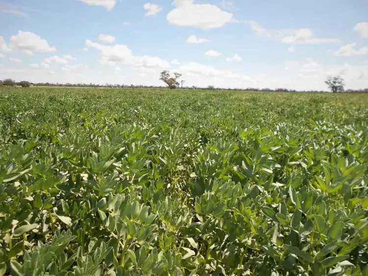 Second view of Homely rural property listing, Lot 581 Nitschkes Road, Bordertown SA 5268