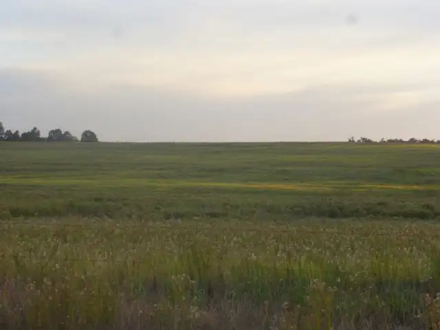 Seventh view of Homely rural property listing, 340 View Range Road, Kendenup WA 6323