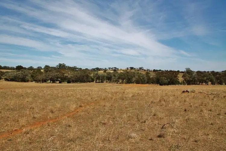 Seventh view of Homely land listing, 405 (Lot 3) Spring Creek Road, Young NSW 2594