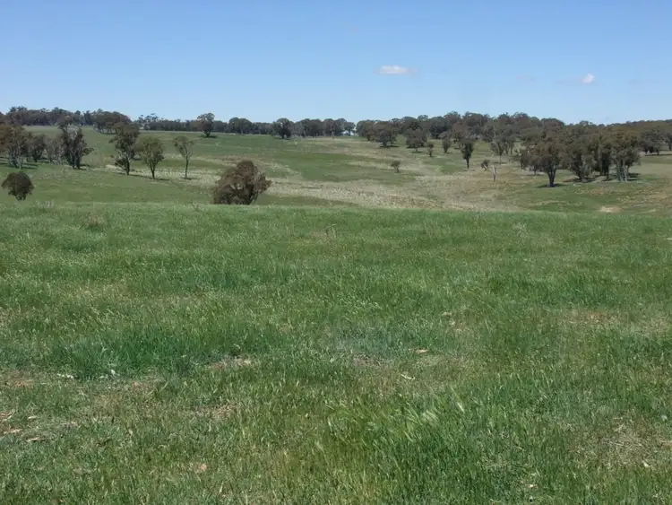 Fifth view of Homely rural property listing, Address available on request
