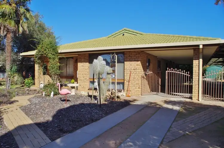7 Barrington Street, Renmark SA 5341