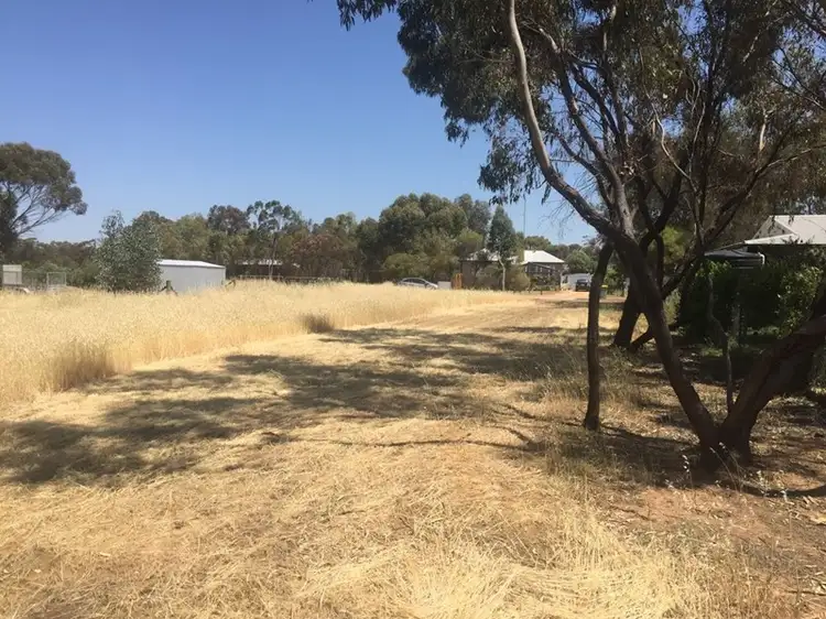 Main view of Homely land listing, Lot 37 Milhinch Street, Muluckine WA 6401