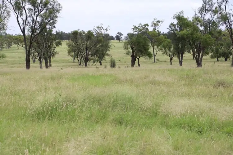 Second view of Homely rural property listing, 0 ALVALEA East, Roma QLD 4455
