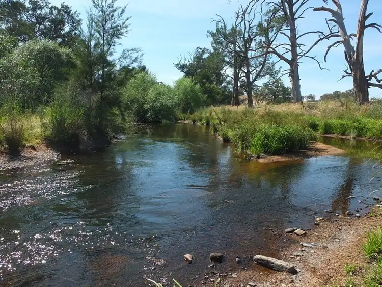 Fifth view of Homely rural property listing, 1672 Mutton Falls Road, O'connell NSW 2795