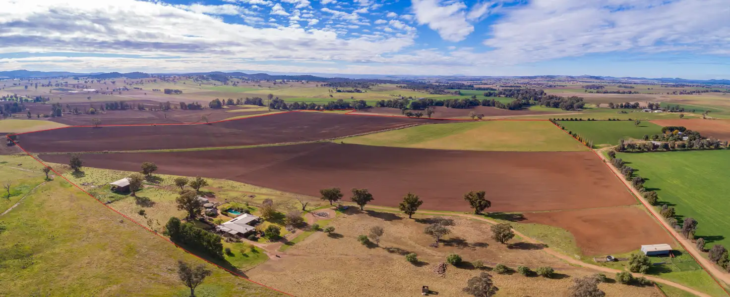 Main view of Homely rural property listing, 166 Settlement Bridge Road, Canowindra NSW 2804